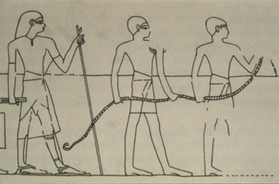  Hardenonaptai;  Rope stretchers or engineers